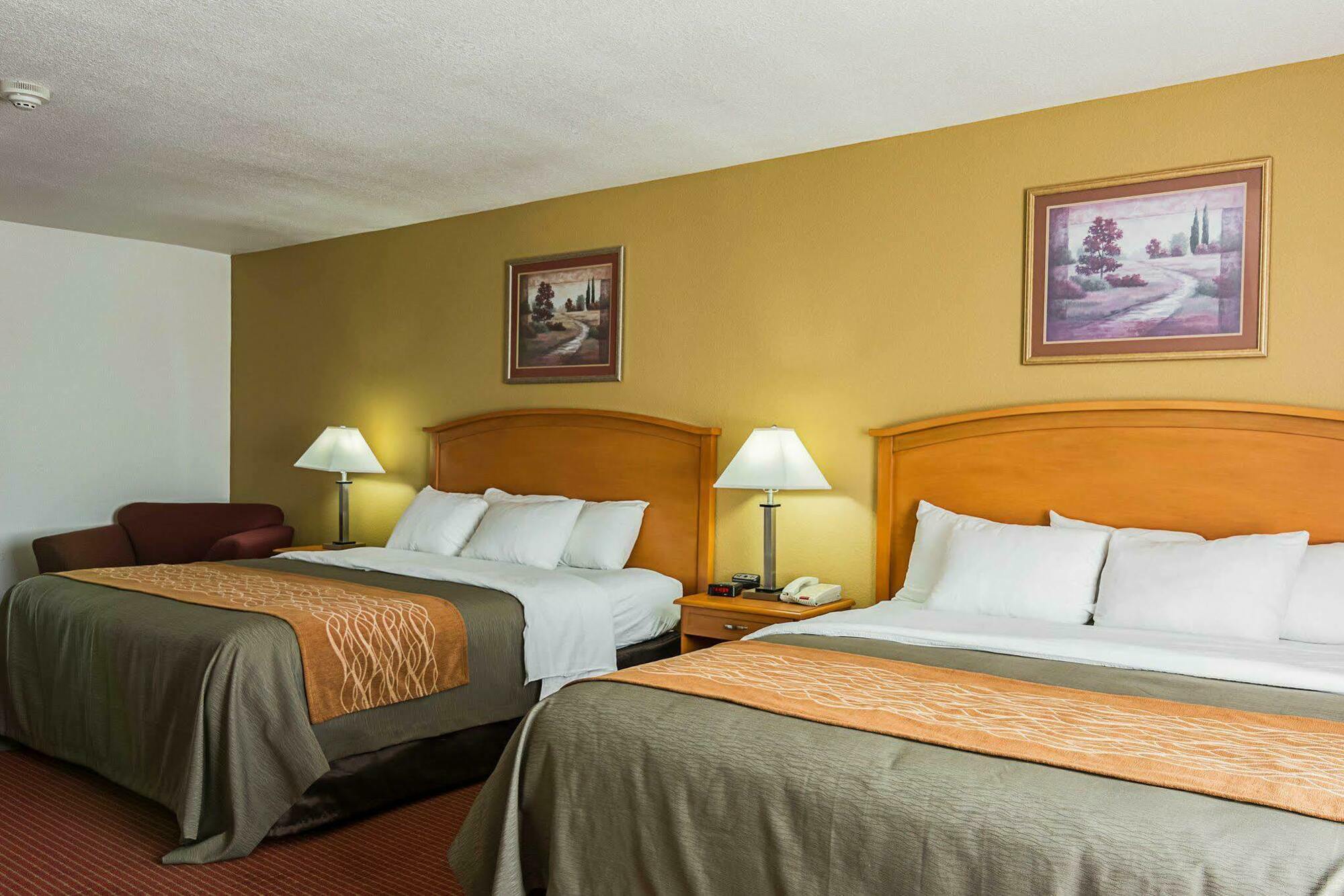 Comfort Inn & Suites Chesapeake - Portsmouth Экстерьер фото
